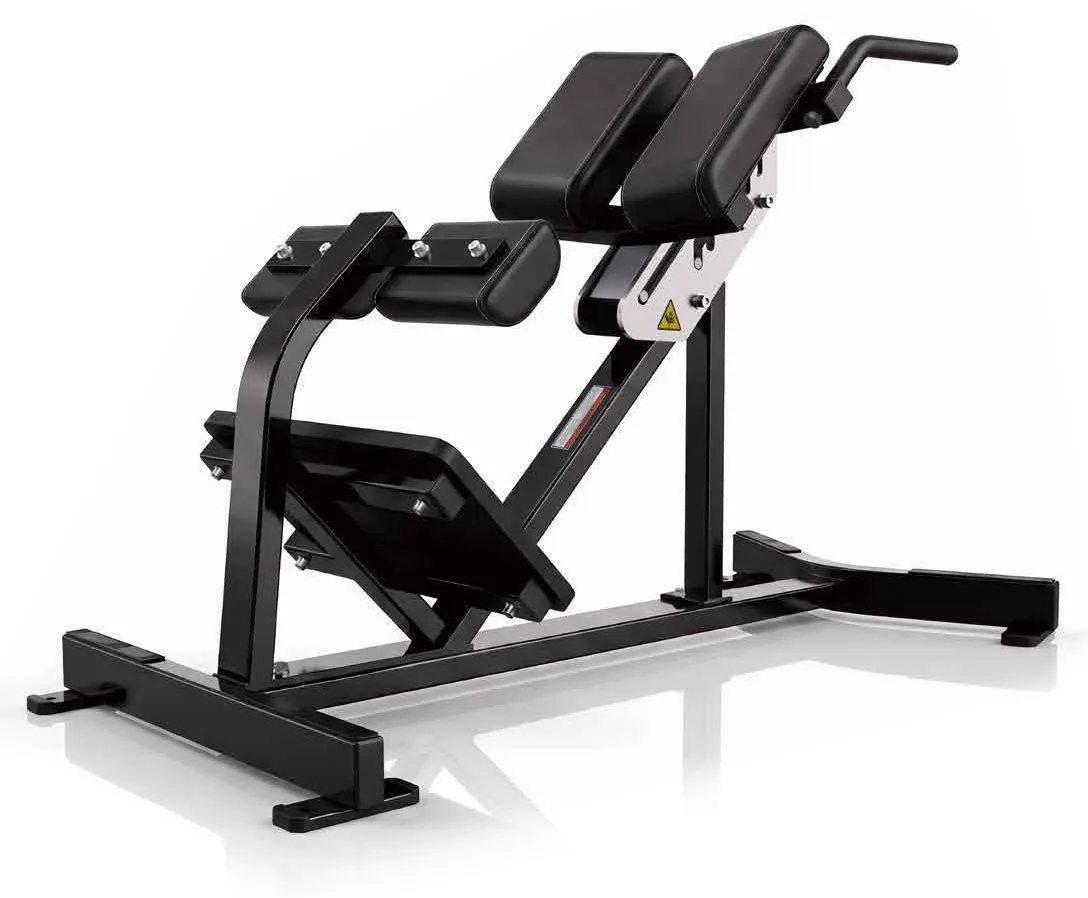 Banco de Extensão Lombar (LD-A054)